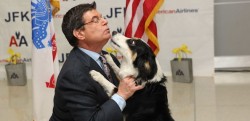 American Airlines, American Dog Resue, and PRAI Support the Work of Nowzad Dogs, Reuniting servicemen and women with the dogs they befriended while deployed over seas