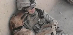 Dog_and_Soldier_Thumbnail