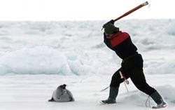 Seal_Hunt_Thumbnail